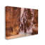 Conception d'art sur toile Stupell Industries Zion Park par Lena Owens-91307814-91307817