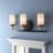 Friedman 3 - Light Dimmable Vanity Light