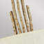Guerrier Flush Mounted Sconce-37015758