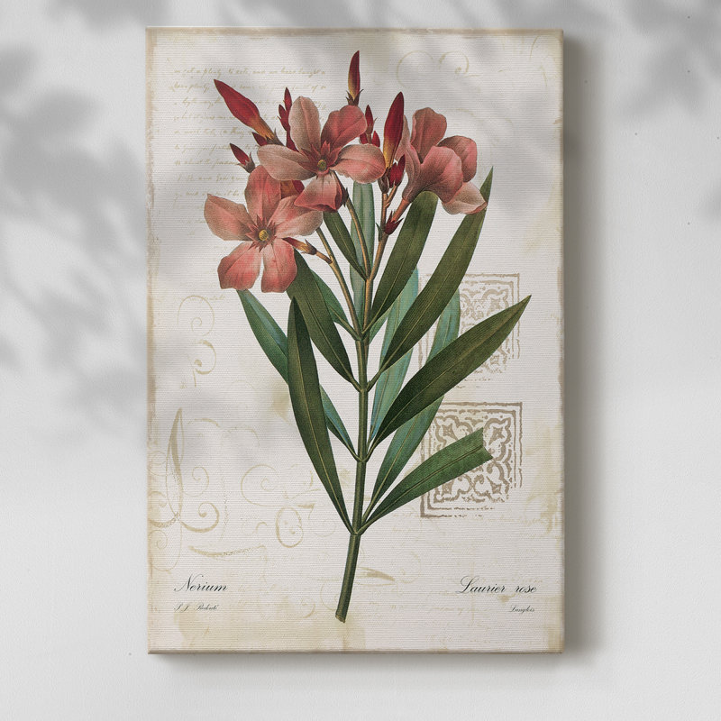 Rose Laurier - Cavas enveloppés de galerie, H 27 po x l 18 po