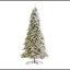 Arbre de Noël 11 pi Blairsburg