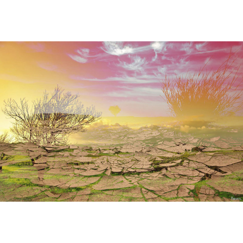 1 Piece Wrapped Canvas Wall Art, 41cm H x 61cm W