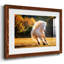 Horse Motion IV - reproduction de cadre photo simple-703625236-703625243