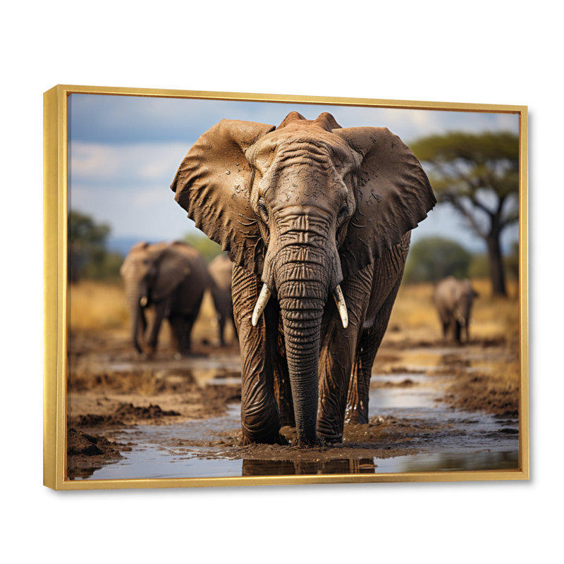 «Elephant Majestic Guardian», reproduction sur toile, H 24 po x l 32 po x P 1 po, Cadre flottant doré