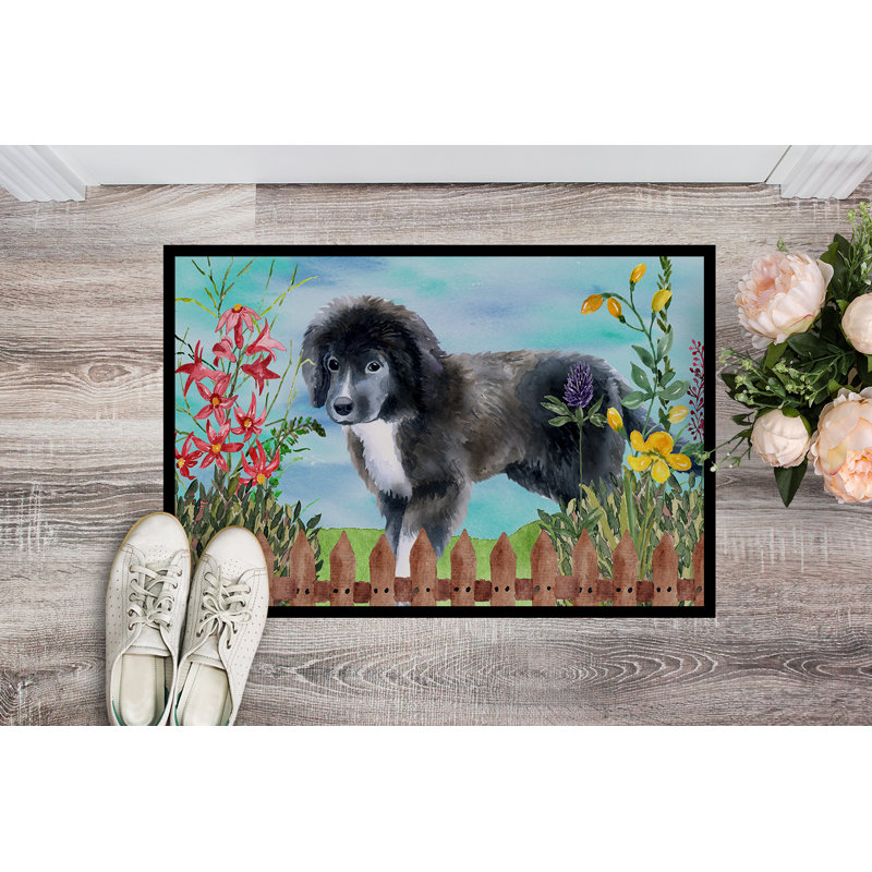 Tapis de porte d’extérieur antidérapant à ressorts chiots terre-neuve, Rectangle 24 po x 36 po