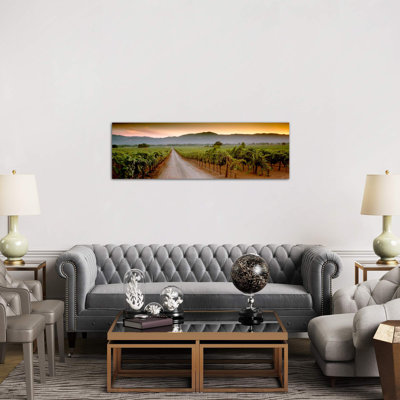 Vineyard Road, Napa Valley, California, USA - Wrapped Canvas Panoramic Print