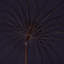 252cm Market Parasol-1257551807
