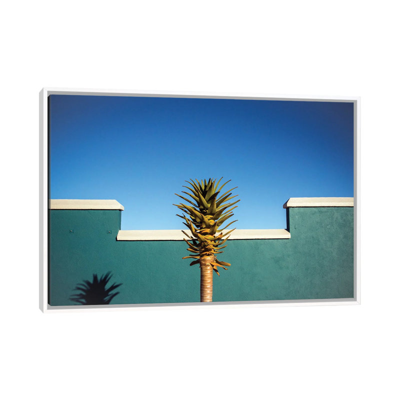 The Desert Blooms by Linda Wride - Floater Frame Print on Canvas, 66.04 cm H x 45.72 cm W, White