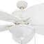 Ventilateur de plafond d'intérieur 52 po Solona