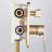 All-In-One Kit with Rough in-Valve