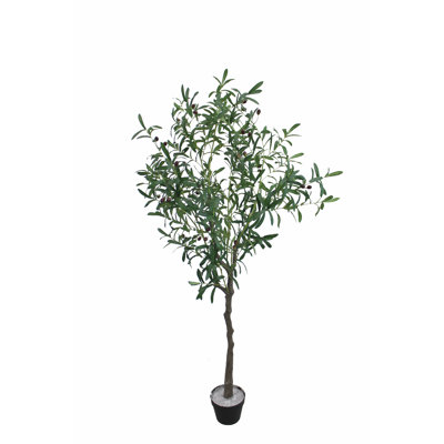 Faux Olive Tree Plant in Pot