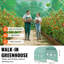 Walk-in Tunnel Greenhouse Galvanized Frame PE Cover-102299555-102299557