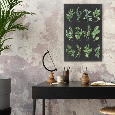 Tableau d'herbes sur une bordure blanche et noire - Bay Black Botanical Charts Art
