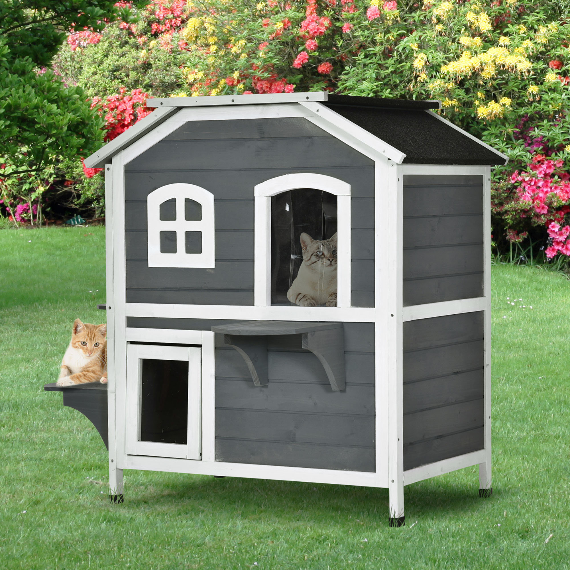 Archie and oscar 2024 gatsby cat house