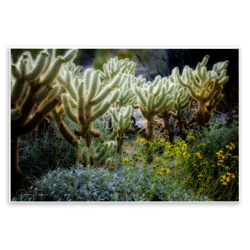 «Desert Cactus Forest», art mural par Dennis Frates, H 10 po x l 15 po