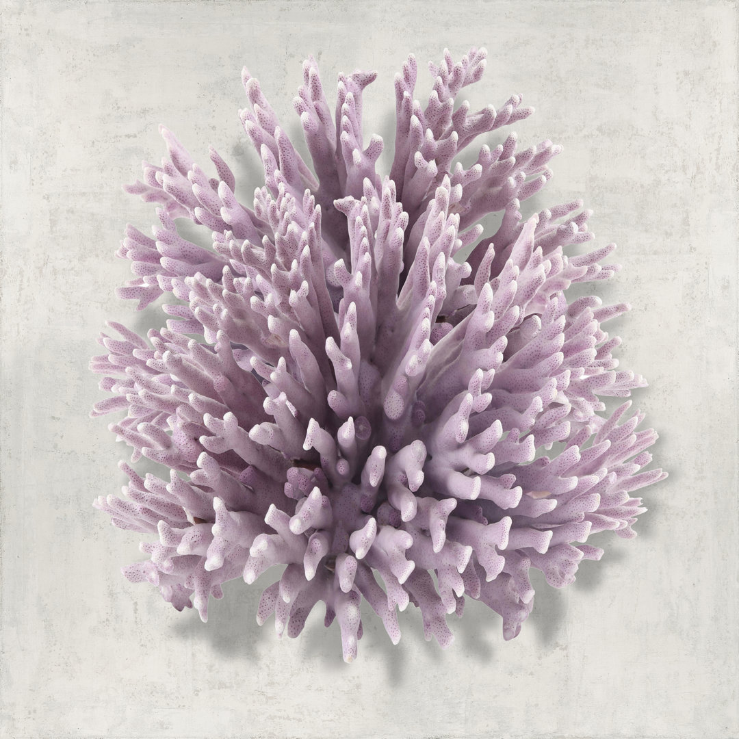 Leinwandbild Coral Amethyst I von Caroline Kelly