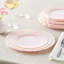 Assiette plate 10 personnes-466788687