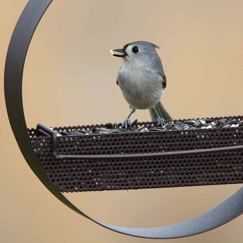 Mangeoire à oiseaux Dareen, Cuivre