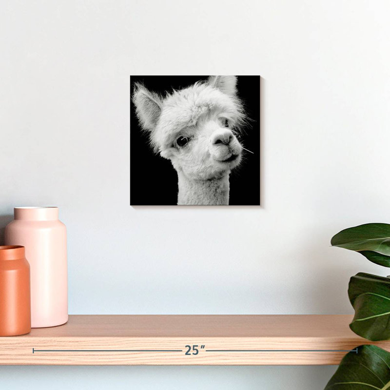 Crowle Monochrome Alpaca Head, H 10 po x l 10 po