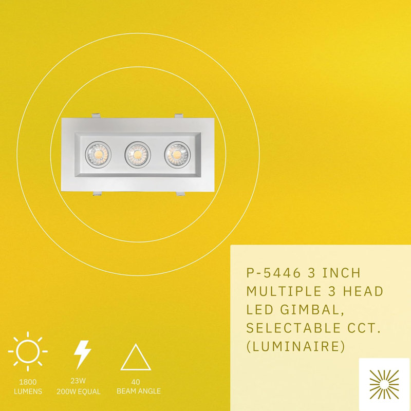 Luminaire à cardan à 3 têtes et 3 lumières 3 W 23 W 1800 Lumens Percclow