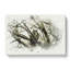 Great Horned Owl Resting in Abstract - Wrapped Canvas-55317019