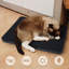 Grattoir mural pour chat