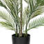 70,5 plante