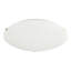Ashmit Flush Mount