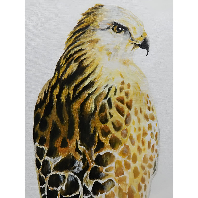 «Hawk», reproduction, H 24 po x l 18 po, Pas de tapis, Toile tendue