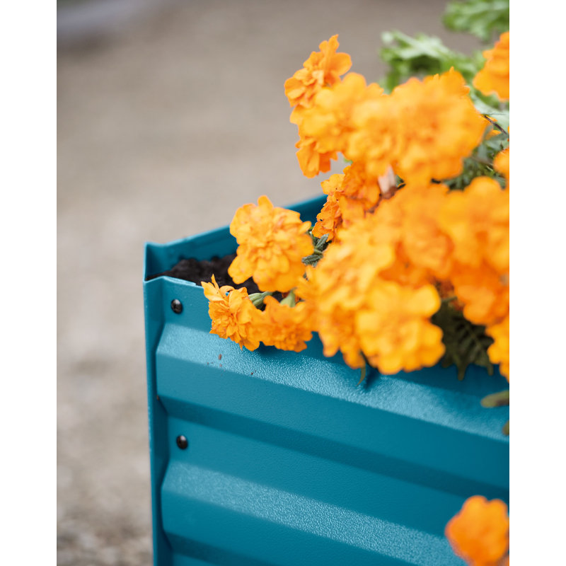 Deep Blue Corrugated Metal Outdoor Raised Garden Bed