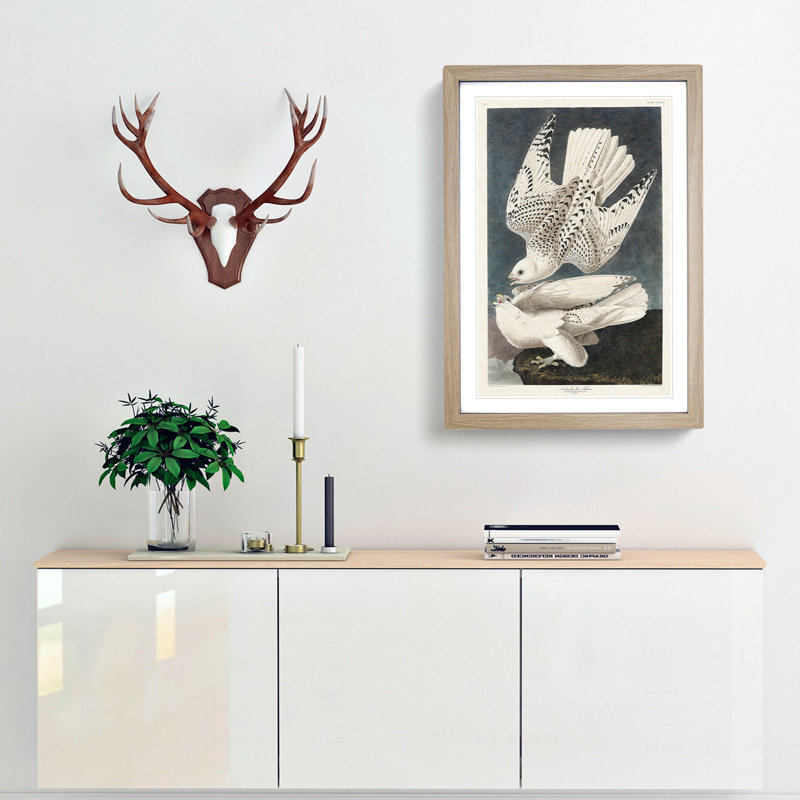 Two Gyrfalcons by John James Audubon - Framed Print, 36cm H x 27cm W x 2cm D, Oak Framed