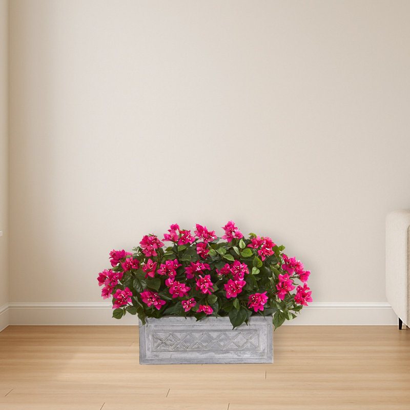 Pot à fleurs Bougainvillea