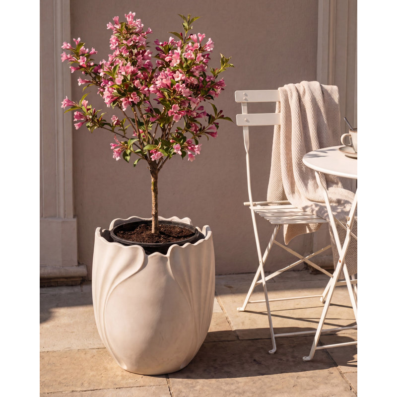 Pot Planter, 53cm H x 44cm W x 44cm D, Beige