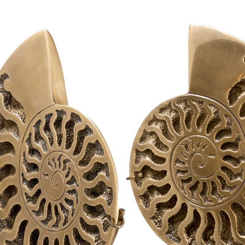 Ammonite Object Decor