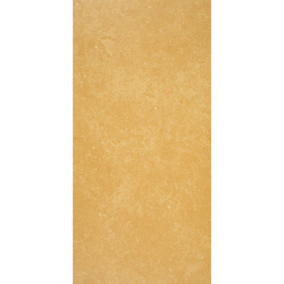 Artistic Freedom 12"X24" Porcelain Stone Look
