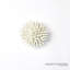 Urchin-White-Sm-1447989751