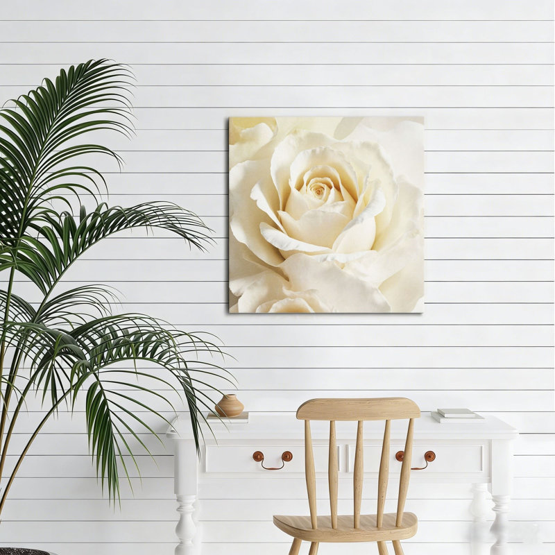 Intime rose crème, sans cadre, murale, 16 x 16 po