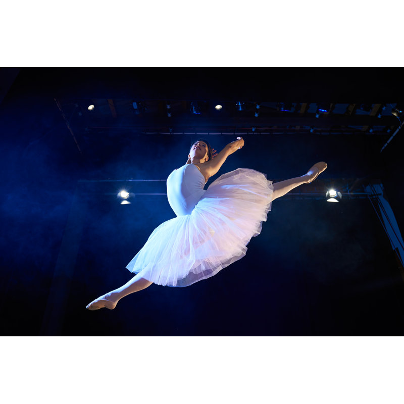Female Classic Dancer by Diego_cervo - Wrapped Canvas Print, 81cm H x 122cm W