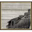 Rustic Train Quad Print