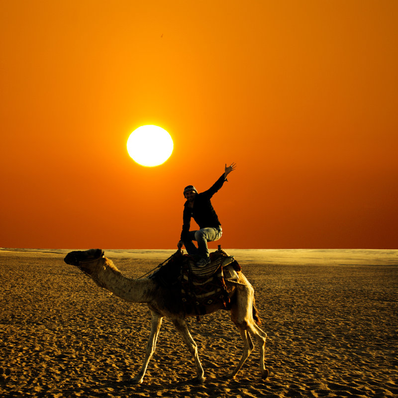 Pose On The Camel - Wrapped Canvas Print, 91cm H x 91cm W x 3.8cm D