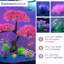 Ensemble de décoration d'aquarium en forme de cerisier rose