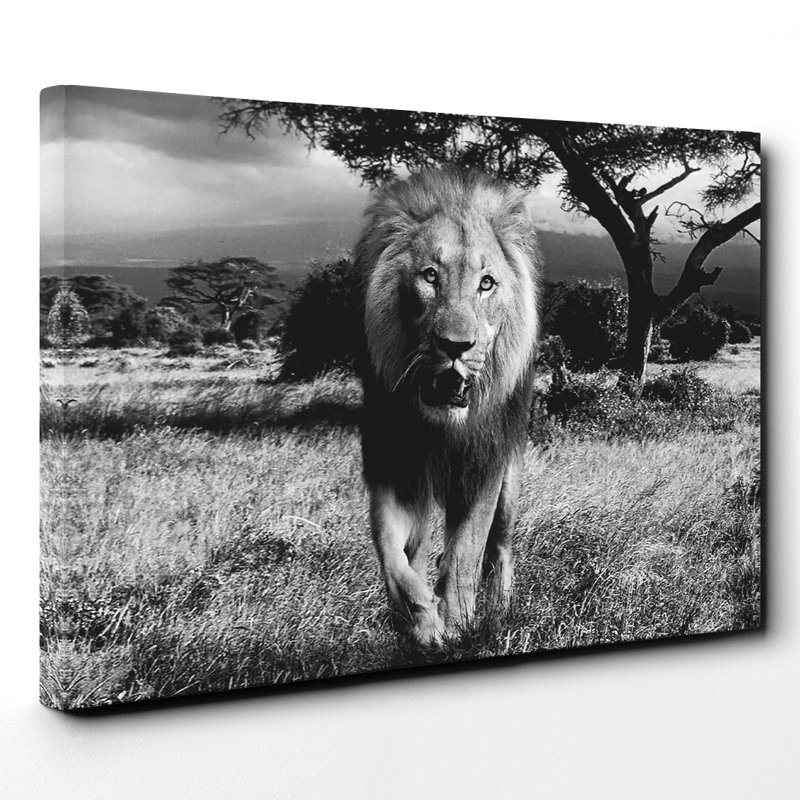 Wrapped Canvas Print, 50cm H x 76cm W