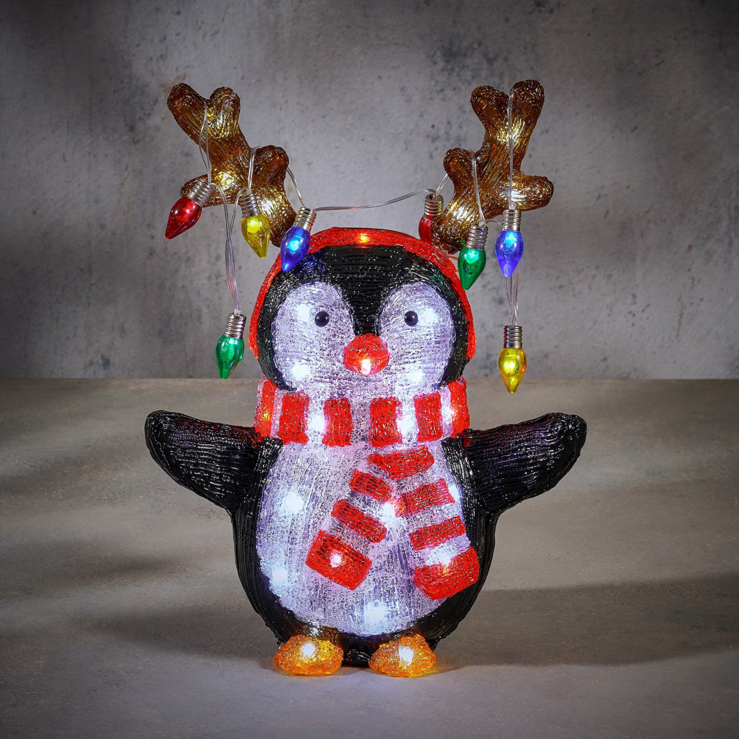 Lichter Pinguin Luca