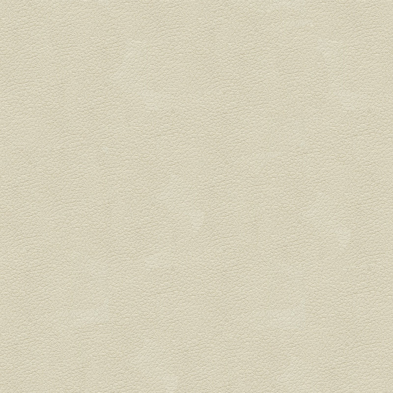 Fabric, Ivory