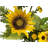24 " Sunflower Plastic Wreath