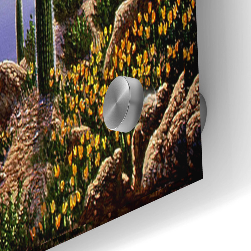 «Roosevelt Lake, AZ» par Eduardo Camoes, art mural en verre acrylique, H 24 po x l 36 po