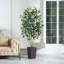 Adcock UV Protected Artificial Ficus Tree with Decorative Base, Faux Ficus Plant with Natural Trunk-1722551520-1722551526