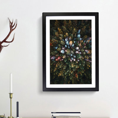 Forest Arrangement - Framed Print