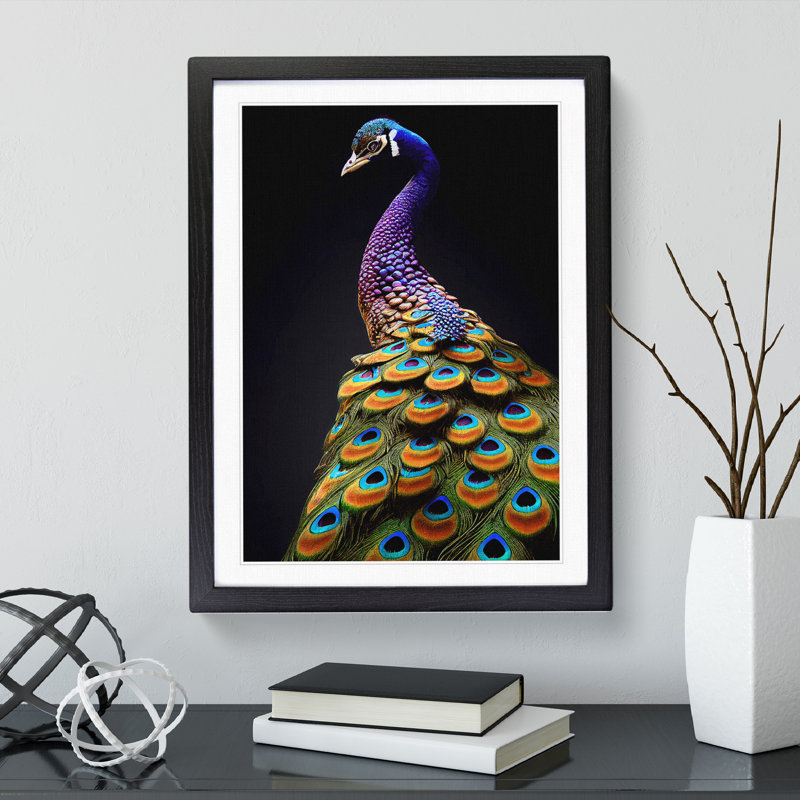 XV1022-159X A Stunning Peacock - Single Picture Frame Print, Black, 64cm H x 46cm W