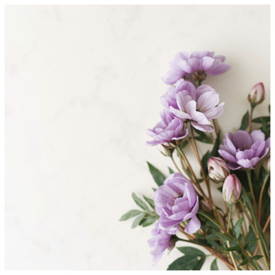 Édredon mauve avec fleurs de renoncule